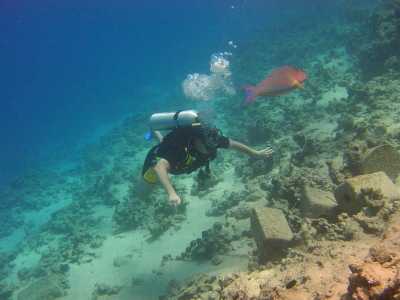 red sea_092.jpg